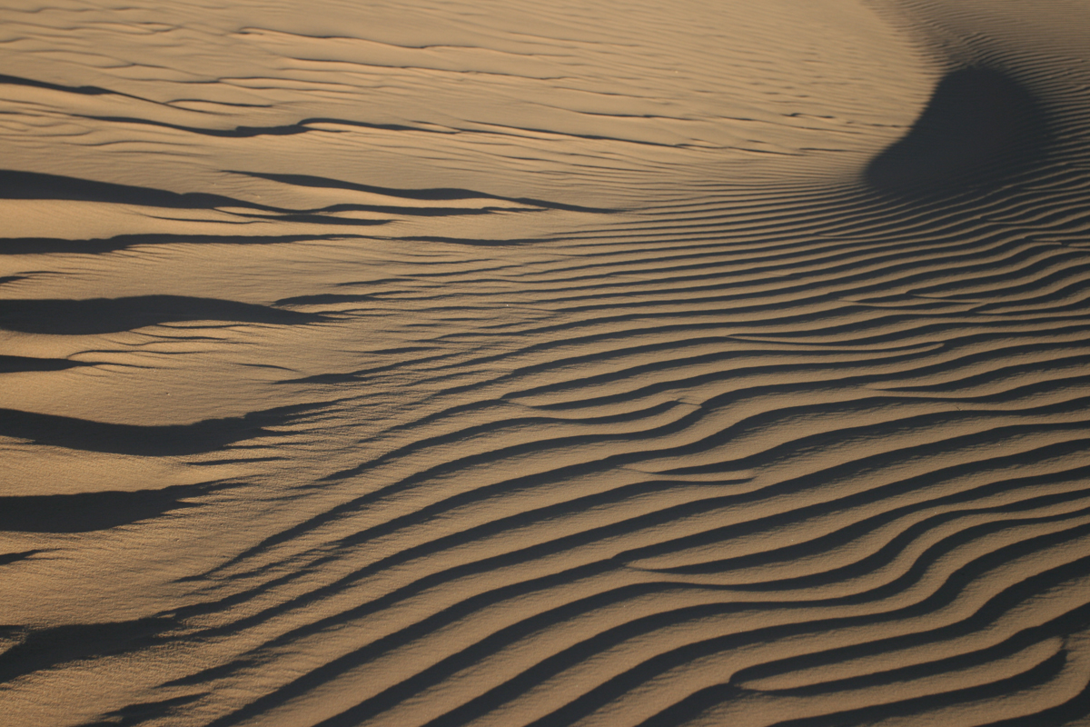 Details van een zandduin in de woestijn in Algerije