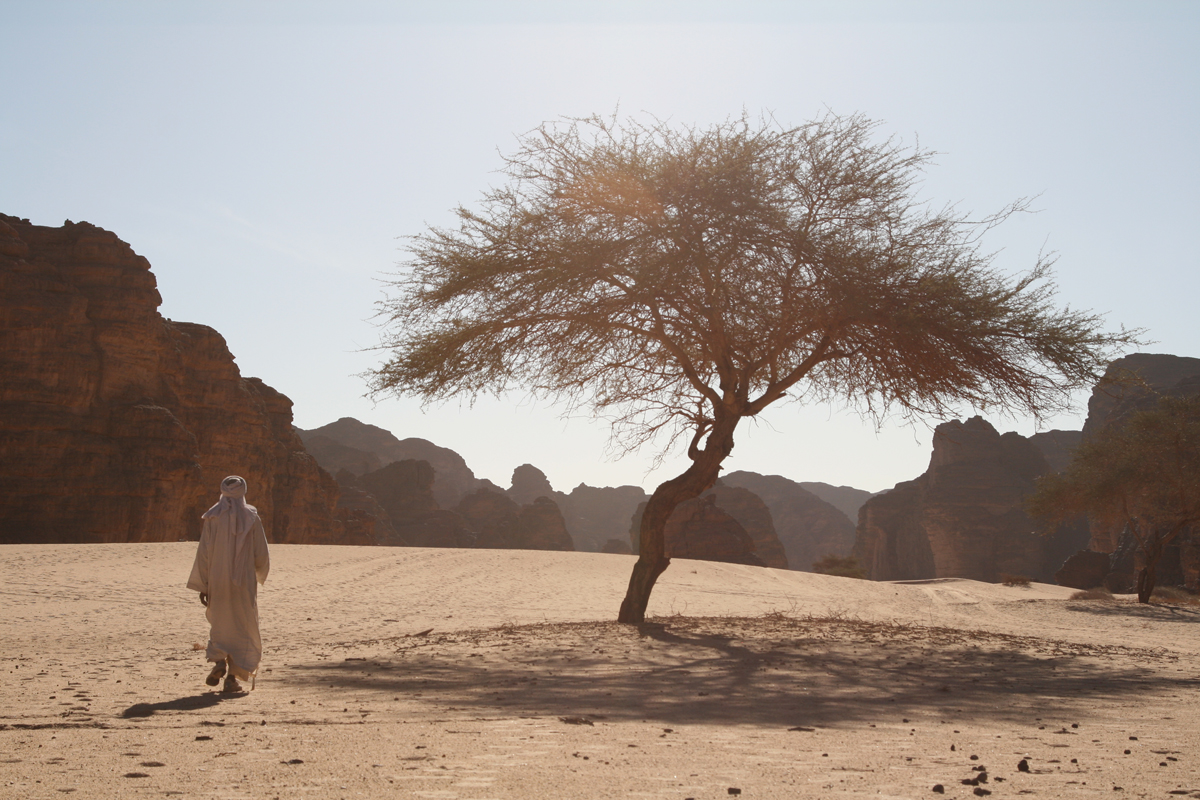 Wandelen door de woestijn in Afrika