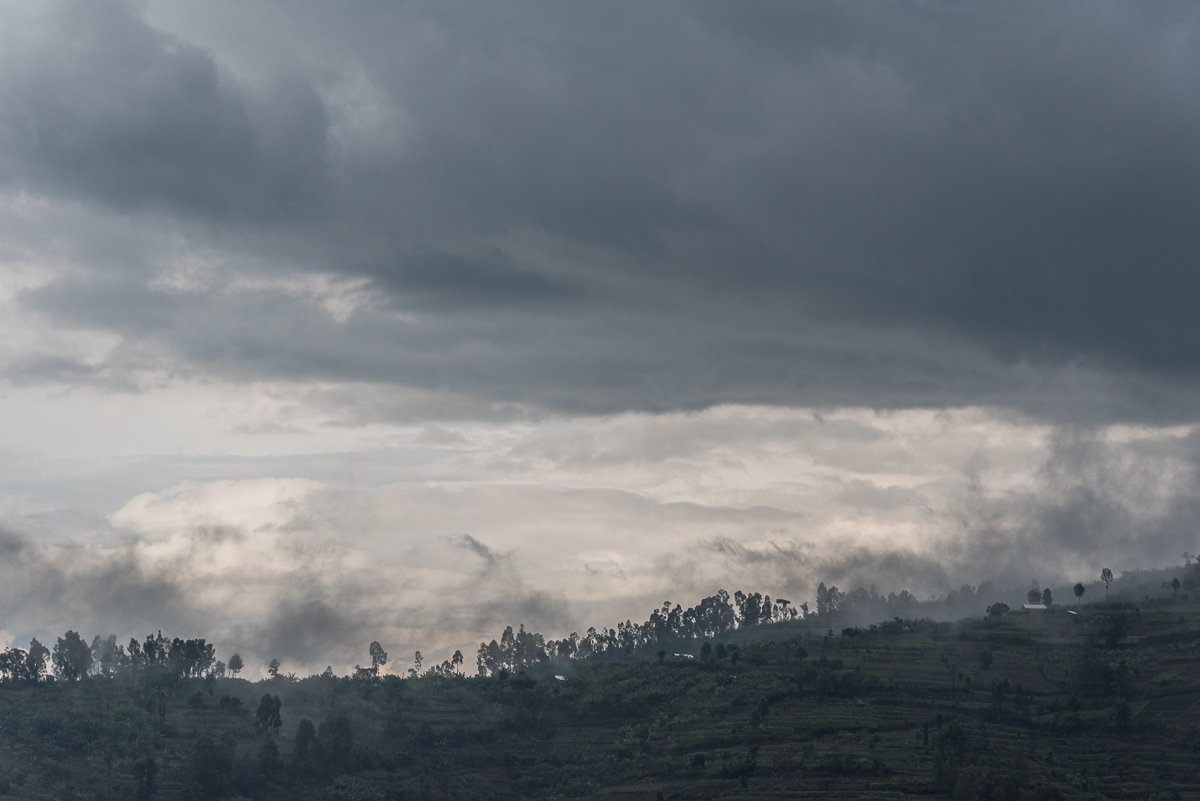 In de wolken in Rwanda